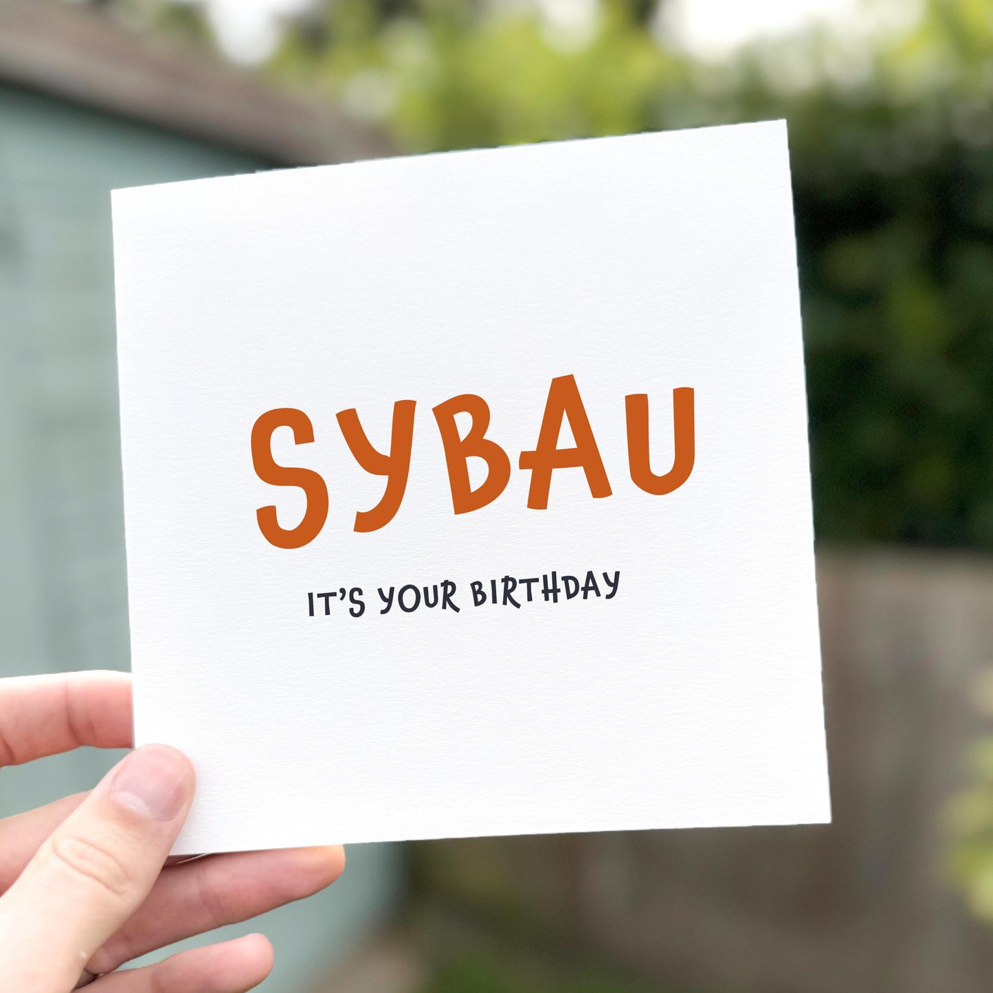 Funny SYBAU Birthday Card: TikTok Meme, Rude Internet Slang