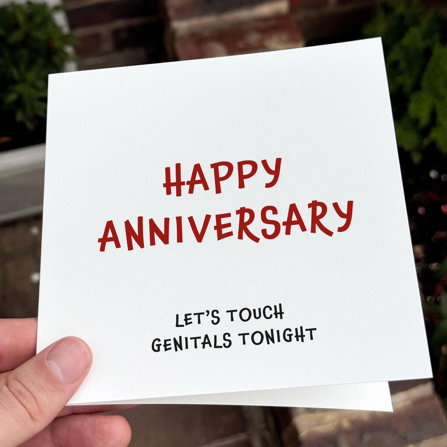 Rude Anniversary Card, Funny Genitals Card, Naughty Card for Him or Her, Sexy Anniversary Card, Cheeky Couple Card, NSFW Love Card